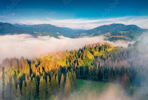 Fototapeta Aerial landscape photography.  Fabulous summer view of Stebnyi village. Misty  morning scene of Carpathian mountains, Ukraine, Europe. Traveling concept background. View from flying drone..