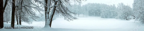 Fototapeta Serene winter panoramic landscape with snow covered trees in the park during heavy snowfall. 