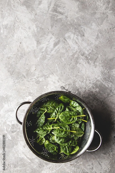 Fototapeta Fresh mini spinach in a colander on the old concrete table. Healthy food, eco product. Vegan