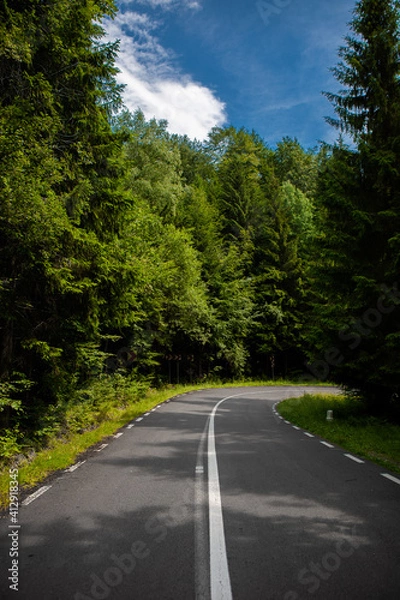 Fototapeta road in the forest