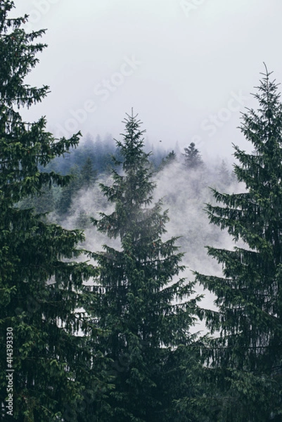 Fototapeta Misty mountain landscape