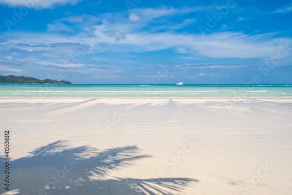 Obraz Tropical beach with coconut palm tree shadows on white sand, copy space, travel summer concept