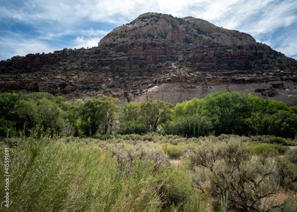 Fototapeta Historic Newspaper Rock Trail with hieroglyphics in canyonlands national park Utah