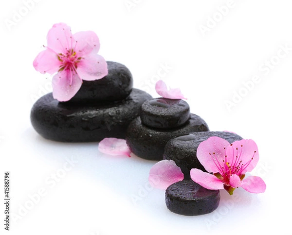 Fototapeta Spa stones with drops and pink sakura flowers isolated on