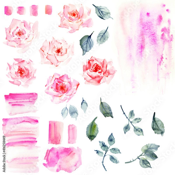 Fototapeta Hand drawn watercolor rose flowers, leaves and branches, pink stains