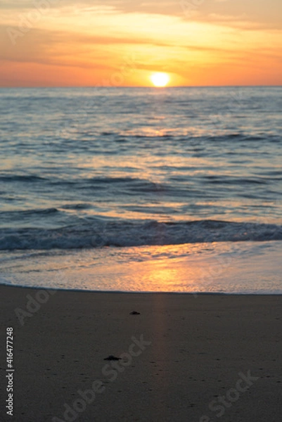 Fototapeta turtle babies running to the sun light into the ocean to their life 