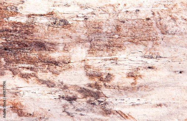 Fototapeta old wooden bark, texture, background