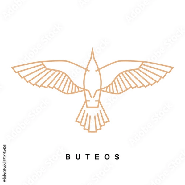 Fototapeta buteo bird icon logo. ancient Egypt illustration of falcon hawk collection. symbol of the power and eternal life. modern and minimalist style in monoline vector drawing.