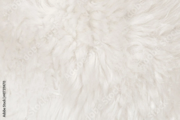 Fototapeta Natural animal white wool seamless texture background. light sheep wool. texture of fluffy fur for designers. close-up fragment white beige wool carpet