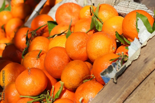 Fototapeta many ripe oranges on the market