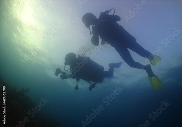 Fototapeta scuba divers , caribbean sea , Aruba