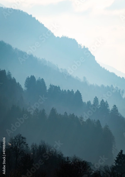 Fototapeta misty morning in the mountains