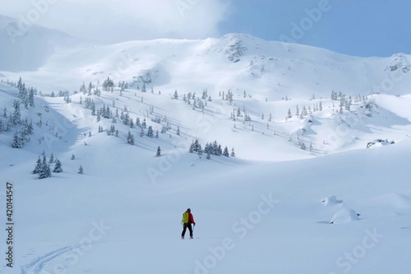 Fototapeta Ski tour in Godeanu Mountains, Carpathians, Romania, Europe