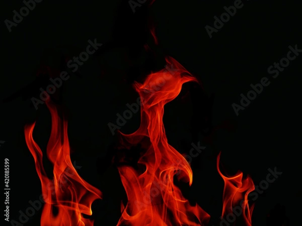 Fototapeta Blaze fire flame texture for banner background.