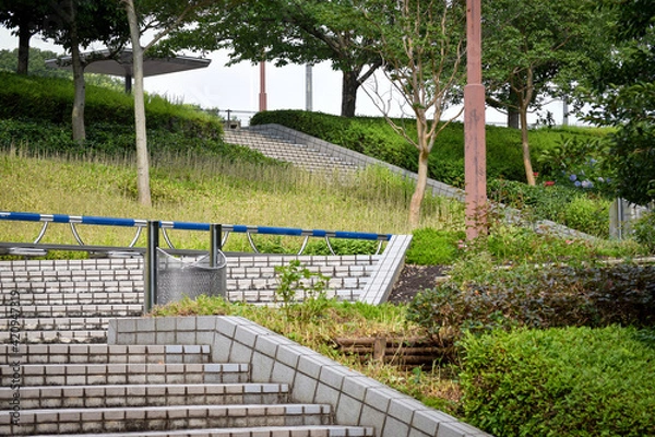 Fototapeta 大学校庭