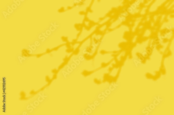 Fototapeta Summer Background Of Shadows Branch Leaves On a Wall. Illuminating Pantone Color Of The Year 2021