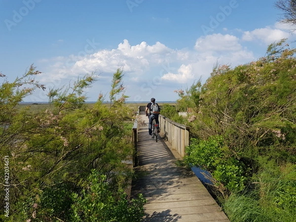 Fototapeta Paysages du Bassin d'Arcachon