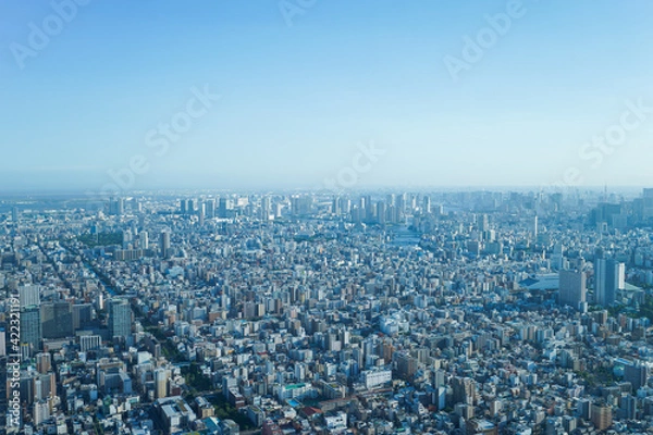 Fototapeta 東京の風景・高層ビル群