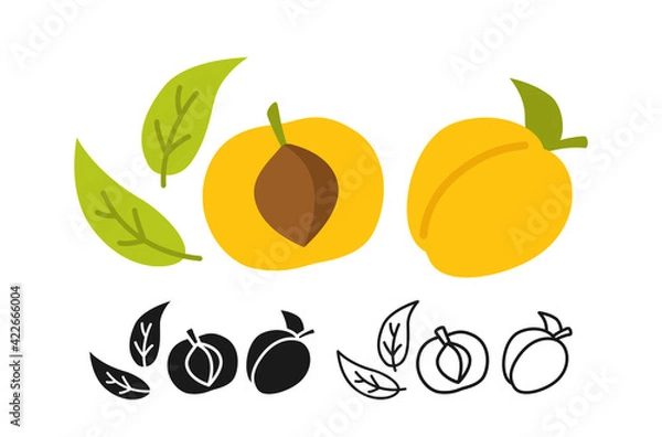 Fototapeta Apricot cartoon set line icon, black glyph style. Summer apricots icon collection flat food. Comic hand drawn design for packaging card poster label. Organic healthy peach Isolated vector illustration