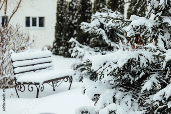 Fototapeta Christmas trees in the backyard in the snow. cozy garden with gazebo and alleys of a country house in winter