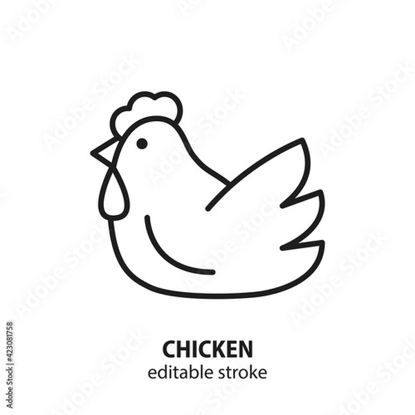 Fototapeta Chicken vector flat line icon. Editable stroke.