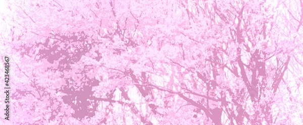 Fototapeta 壁紙　桜