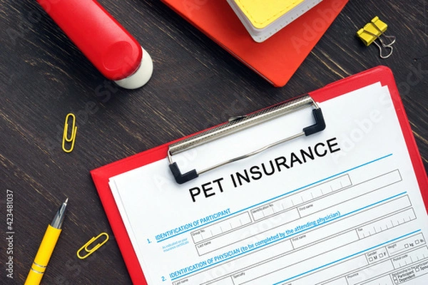 Fototapeta Business concept meaning PET INSURANCE Application Form with phrase on the financial document