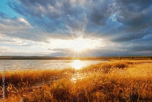 Fototapeta autumn meadows lush grass and lakeside with the rays of the sun silence in nature