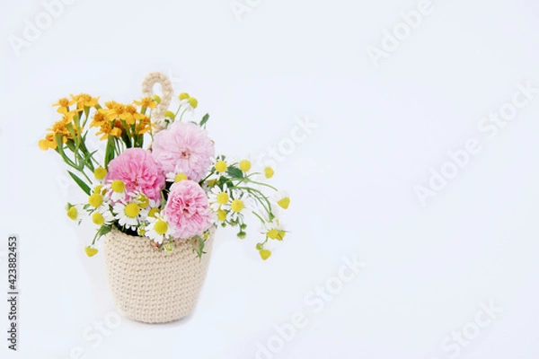 Fototapeta Beautiful color of flower in crochet hanging planter isolated on white background.