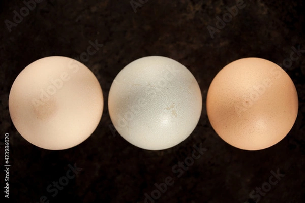 Fototapeta Top down photo of three farm eggs