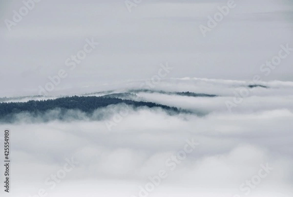 Fototapeta Mer de nuages