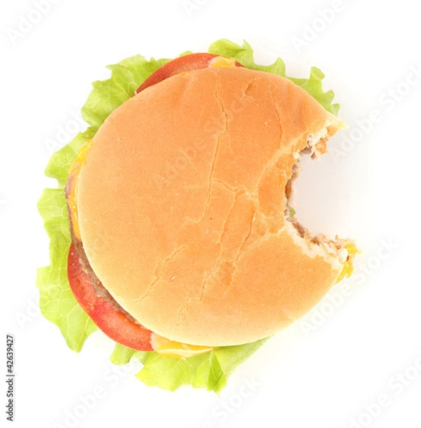 Fototapeta Bitten cheeseburger isolated on white