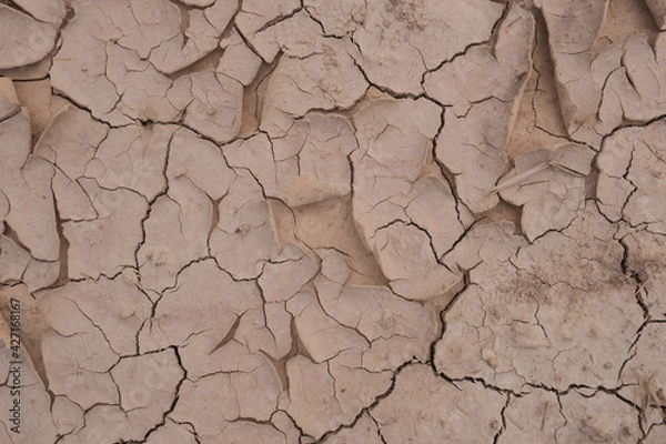 Obraz Dry soil and cracked soil surface