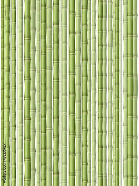 Obraz Bamboo background