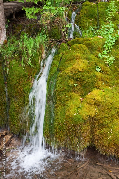 Fototapeta Streams and waterfalls in Plitvice Lakes National Park in Croatia