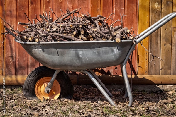 Fototapeta Finely chopped brushwood lies in a garden cart.