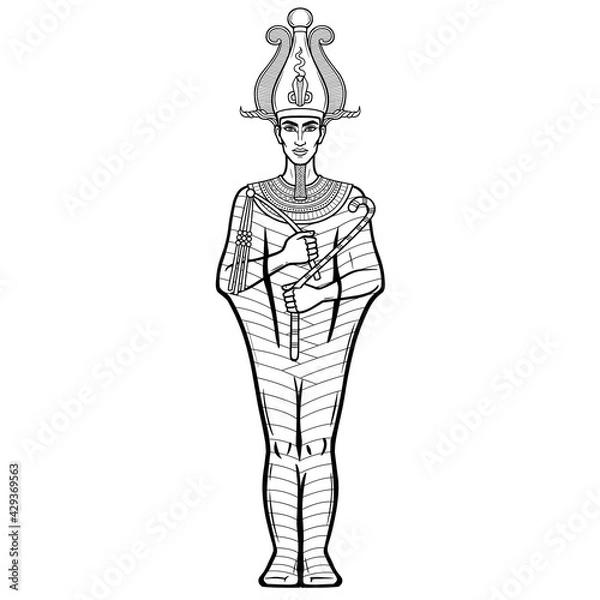 Fototapeta Animation portrait Egyptian man n the crown holds symbols of power in his hands. God Osiris. Full growth. Vector illustration isolated on a white background. Print, poster, t-shirt, tattoo.