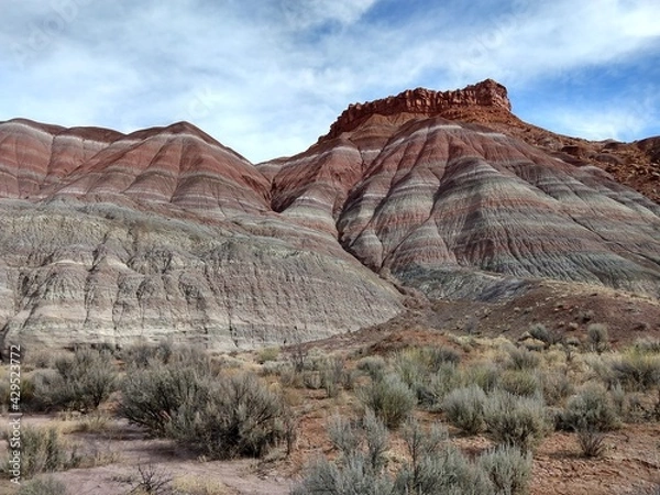 Fototapeta red rock canyon