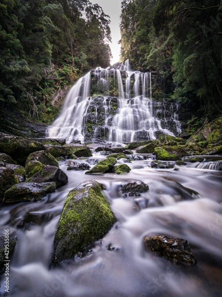 Fototapeta Tasmanian waterfall in the forest