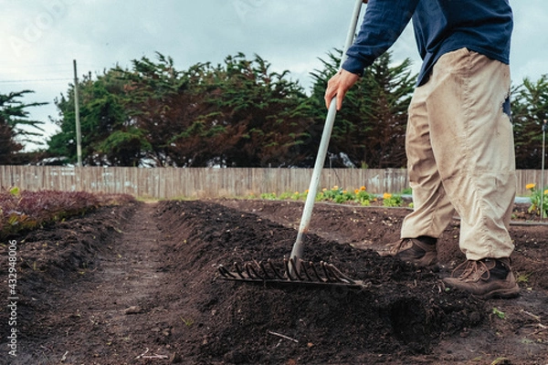 Fototapeta person raking the land, working the land organically, for healthy food, forest background ,person working in the garden