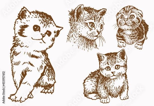 Fototapeta Domestic cats on sepia background,vector elements 