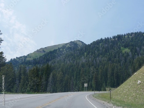 Fototapeta Paved road and scenic truns at Yellowstone National Park, Wyoming.