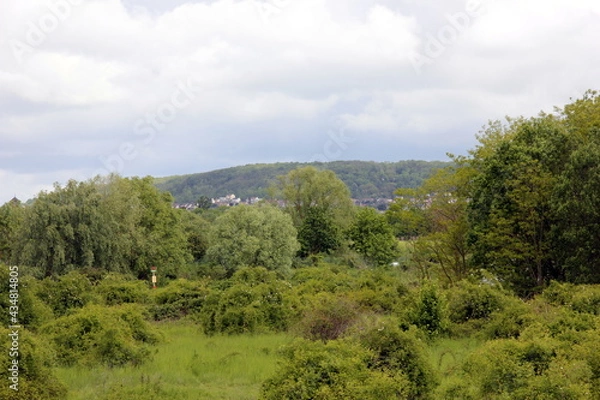 Fototapeta Paysages en Mai dans les Yvelines