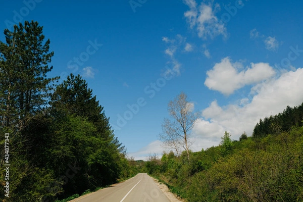 Fototapeta road in the mountain forest