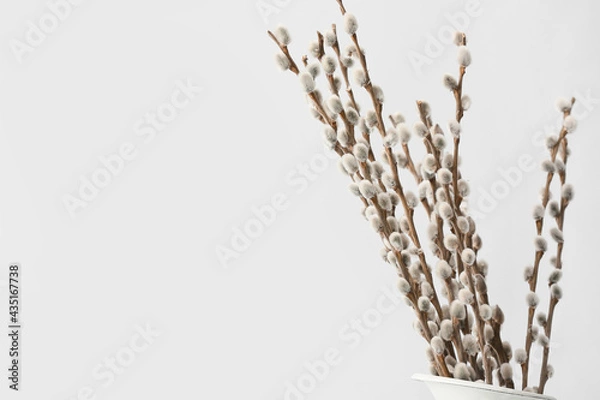 Obraz Vase with willow branches on white background