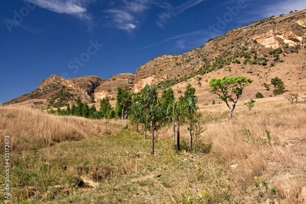 Fototapeta Isalo National Park. Madagascar. Africa