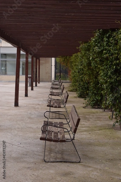 Fototapeta Parque, bancos y soledad