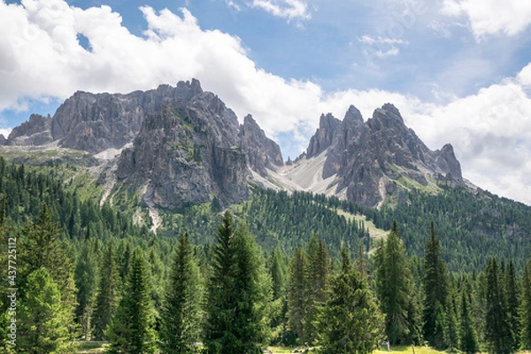 Fototapeta malerisches Alpental mit Tannen im Vordergrund