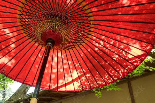 Fototapeta Traditional red umbrella and shadow of Japanese maple leaves　赤い和傘に落ちるモミジの葉のシルエット