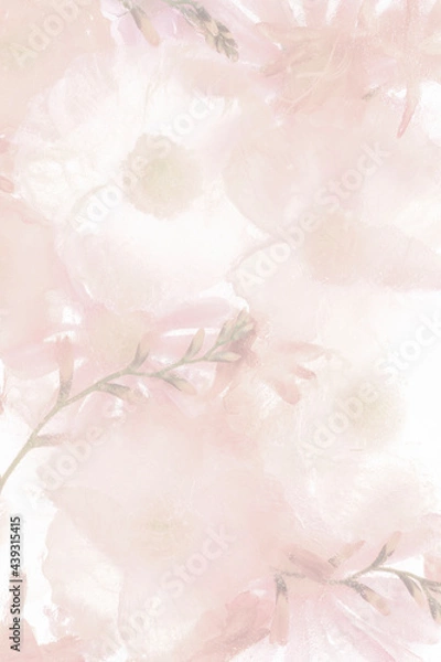 Fototapeta Pink blooming anemone flower background